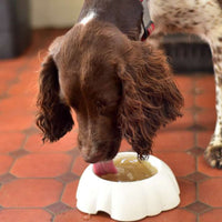 BONE BROTH & SHEEP MILK BUNDLE * Save 10% with 9 Pack