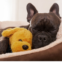 BEEF HEART Treats Help Calm Stressed Pups Naturally