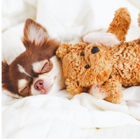 SARDINE Topper  Help Calm Anxious Pups Naturally