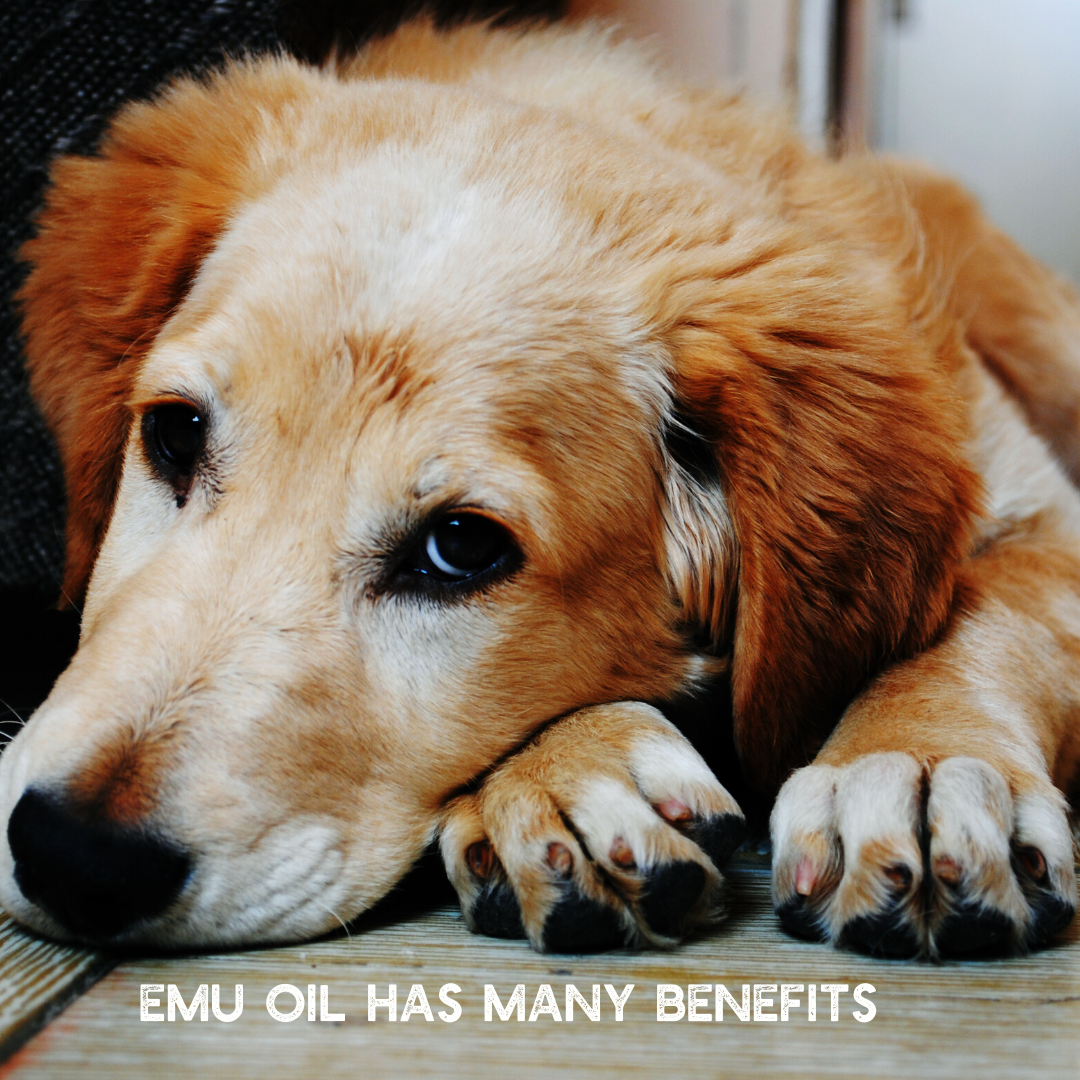 PURE EMU OIL Helps Reduce Inflammation & Skin Irritations