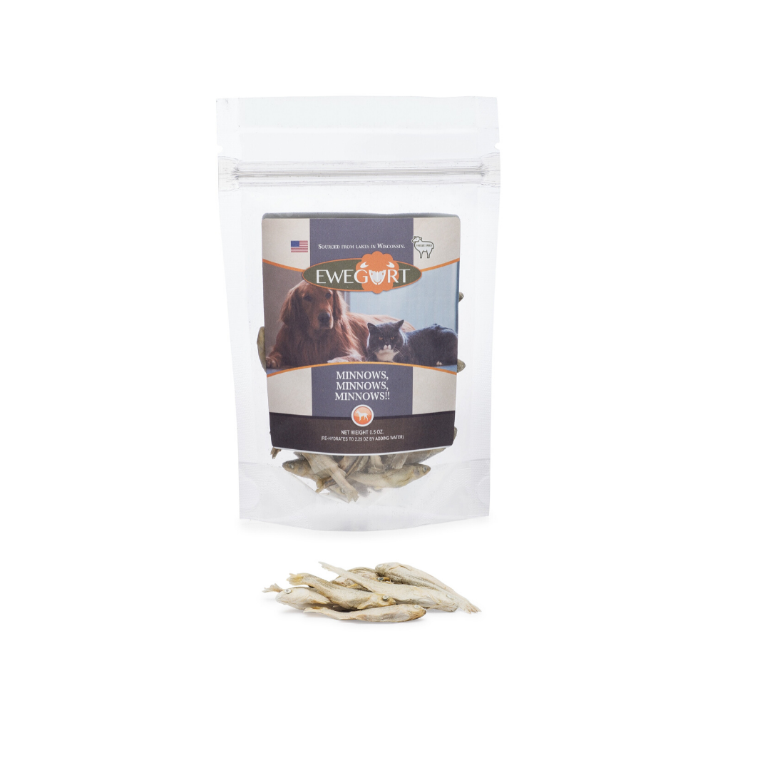 MINNOWS for your Kitty