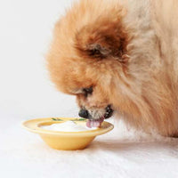 ORGANIC SHEEP MILK YOGURT treat for Dogs and Cats.