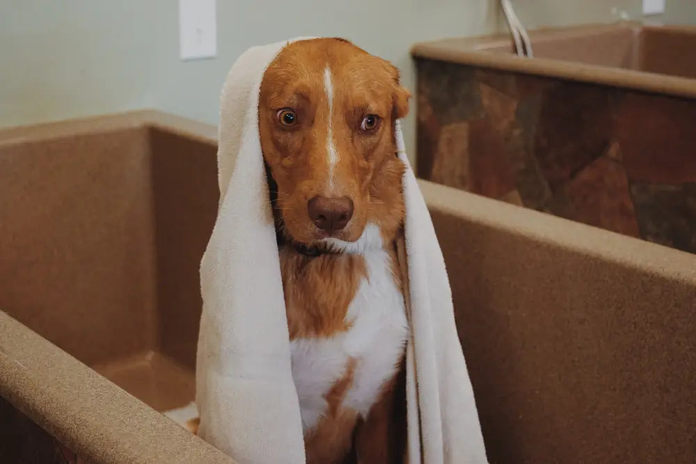 New Settings are Scary