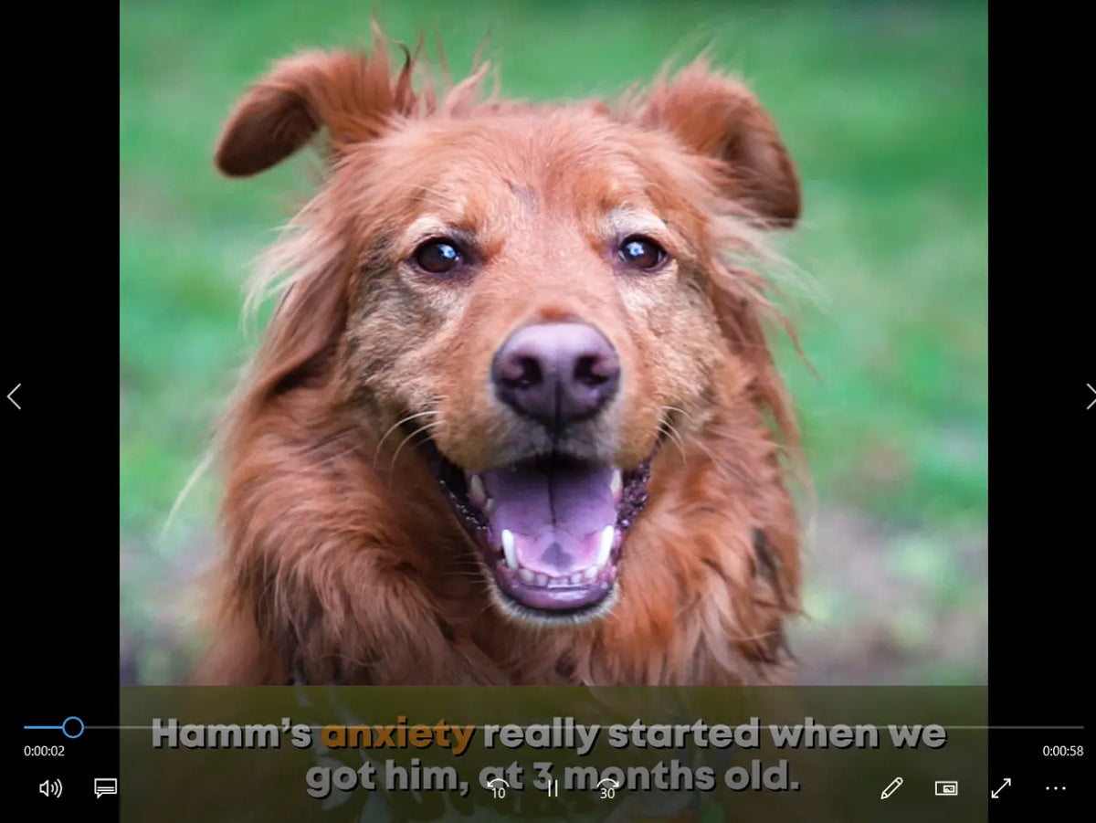 No More Blanket Forts during storms