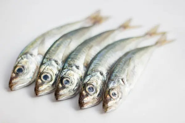 Sardines may be small, but they are mighty superfood