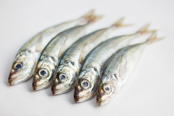 Sardines may be small, but they are mighty superfood