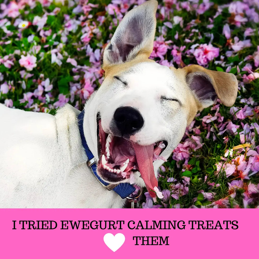 Calming Dog Treats