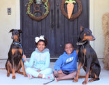Houston Area Doberman Rescue