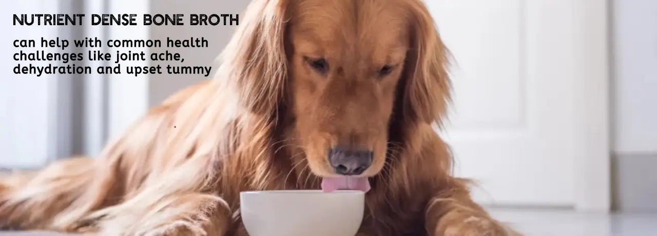 Bone Broths * 2 Pack