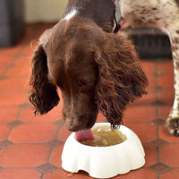 BONE BROTH & SHEEP MILK BUNDLE * Save 10% with 9 Pack - Bone Broth