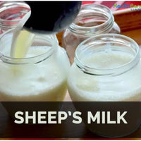 BONE BROTH & SHEEP MILK BUNDLE * Save 10% with 9 Pack - Bone Broth