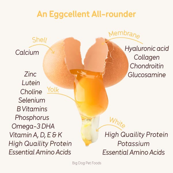 Freeze Dried Duck eggs