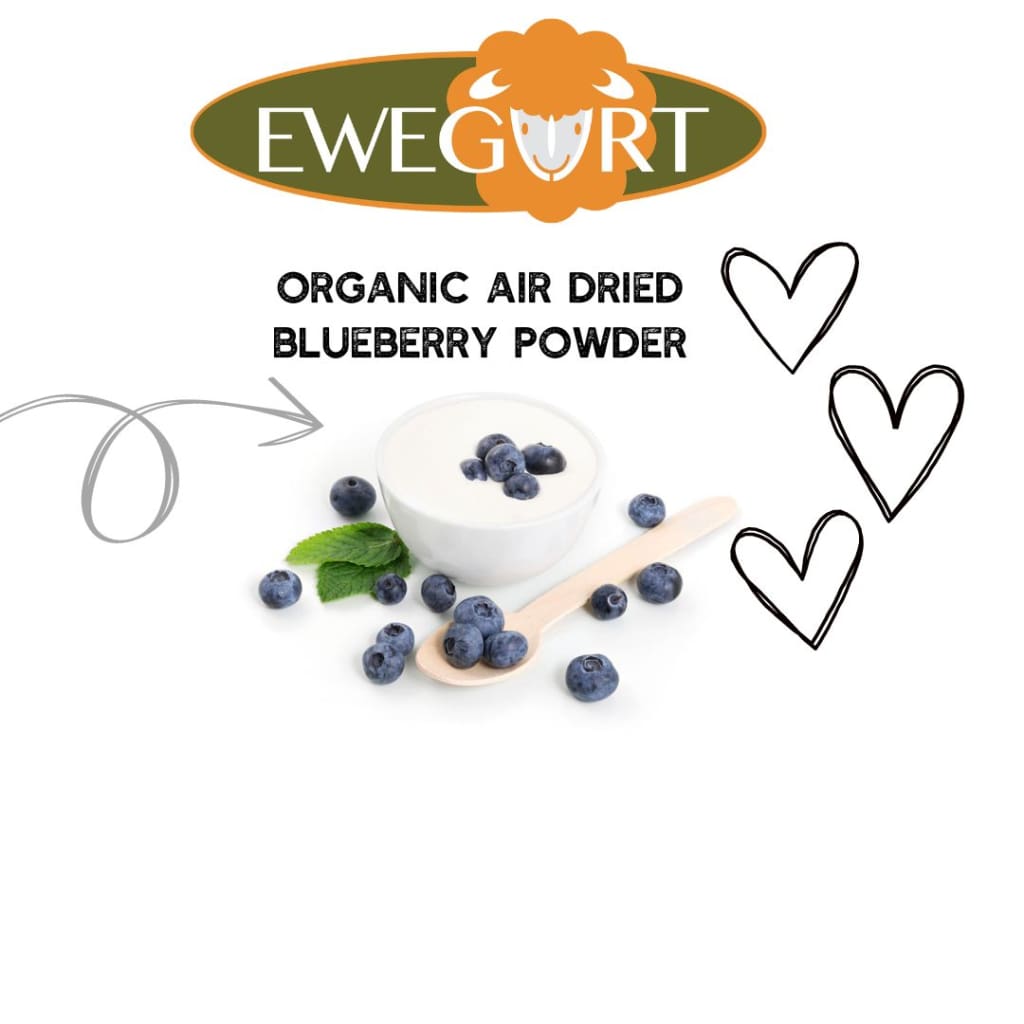 ORGANIC AIR DRIED BLUEBERRY POWDER is low in calories but high in nutrients - Dog Treats