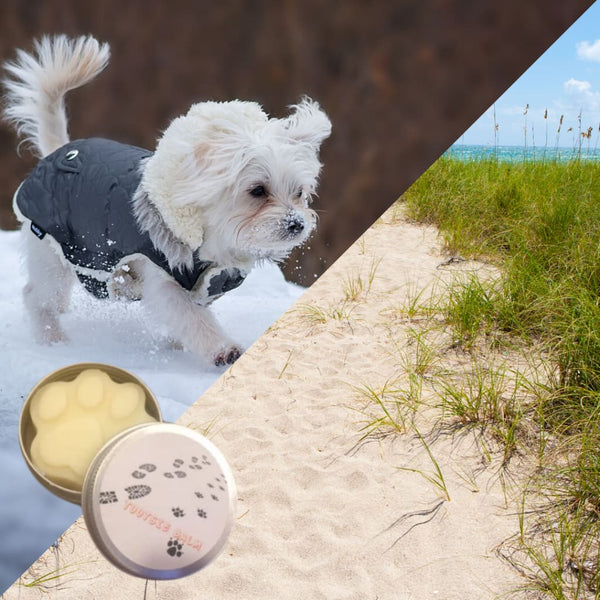 PAW BALM Helps Heal Cracked Pads and Protects Paws on Icy or Hot Sidewalks - Paw Balm