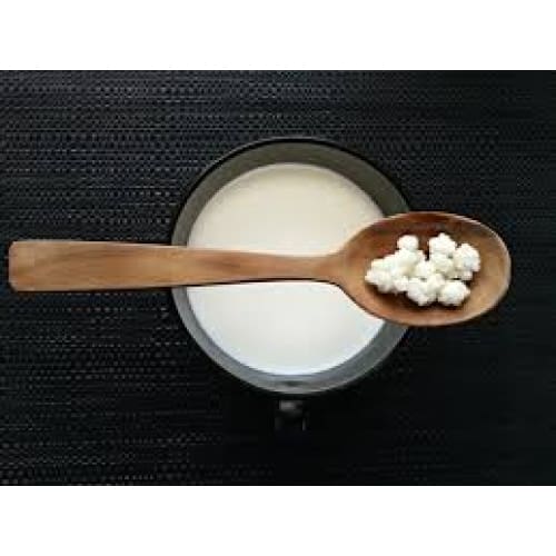 RAW ORGANIC SHEEP KEFIR is a Fermented Milk Drink for Dogs and Cats. - Plain Kefir - Dog Treats