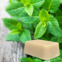 Rich Lathering Milk Based Soap Leave No Residue * 2.5 oz - Peppermint 