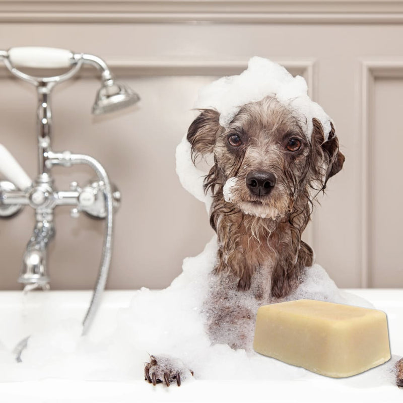 files/rich-lathering-milk-based-soap-leave-no-residue-2-5-oz-unscented-great-scents-natural-for-dogs-ewegurt-703.jpg