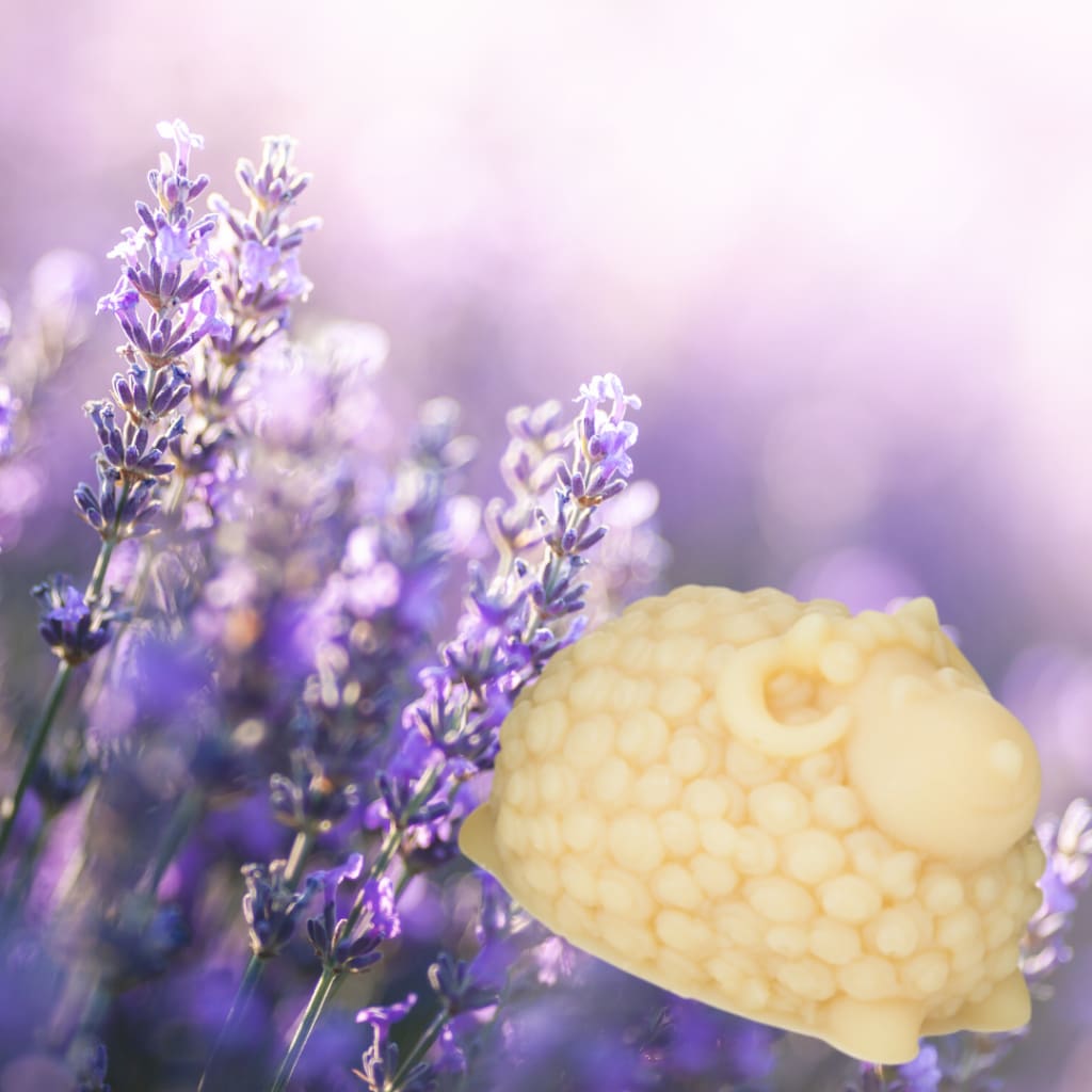 Rich Lathering Milk Based Soap Leave No Residue * 3.5 oz - Lavender - Soap