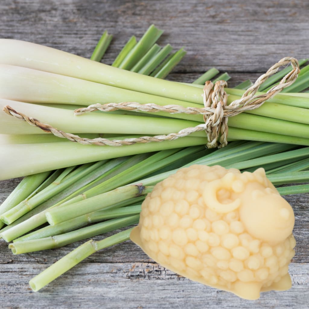 Rich Lathering Milk Based Soap Leave No Residue * 3.5 oz - Lemongrass - Soap