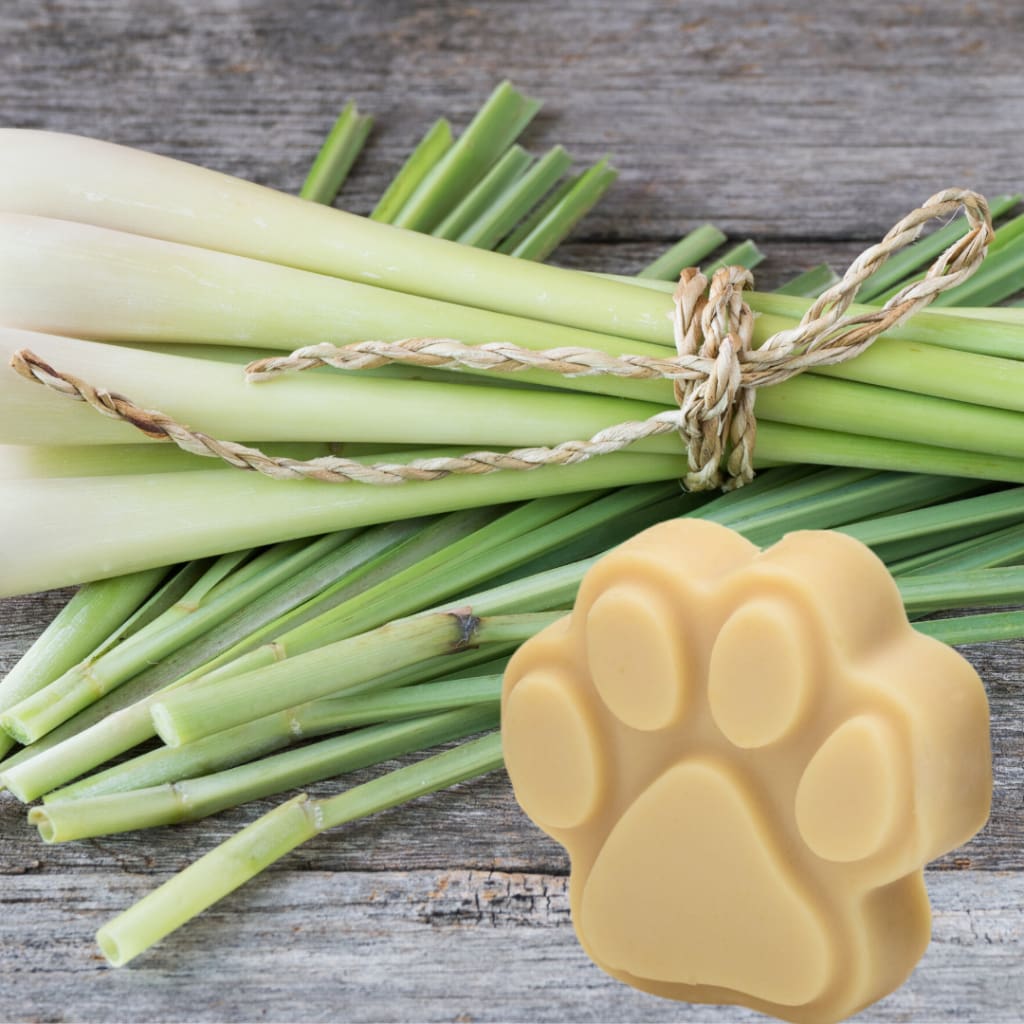 Rich Lathering Milk Based Soap Leave No Residue * 5 oz - Lemongrass - Soap