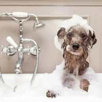 Rich Lathering Milk Based Soap Leave No Residue * 2.5 oz 