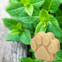 Rich Lathering Milk Based Soap Leave No Residue * 5 oz - Peppermint 