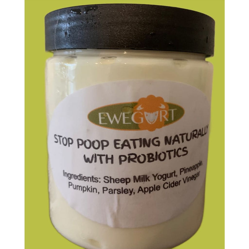 files/stop-poop-eating-naturally-with-probiotics-fresh-pineapple-yogurt-ewegurt-923.jpg