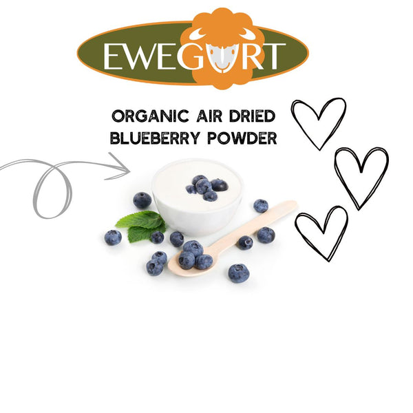 ORGANIC AIR DRIED BLUEBERRY POWDER is low in calories, but high in nutrients