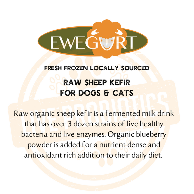 RAW ORGANIC SHEEP KEFIR is a Fermented Milk Drink for Dogs and Cats. Ewegurt